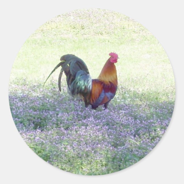 Feathered Pride Sticker (Vorderseite)