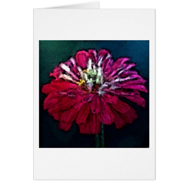 Feathered Zinnia (Vorne)