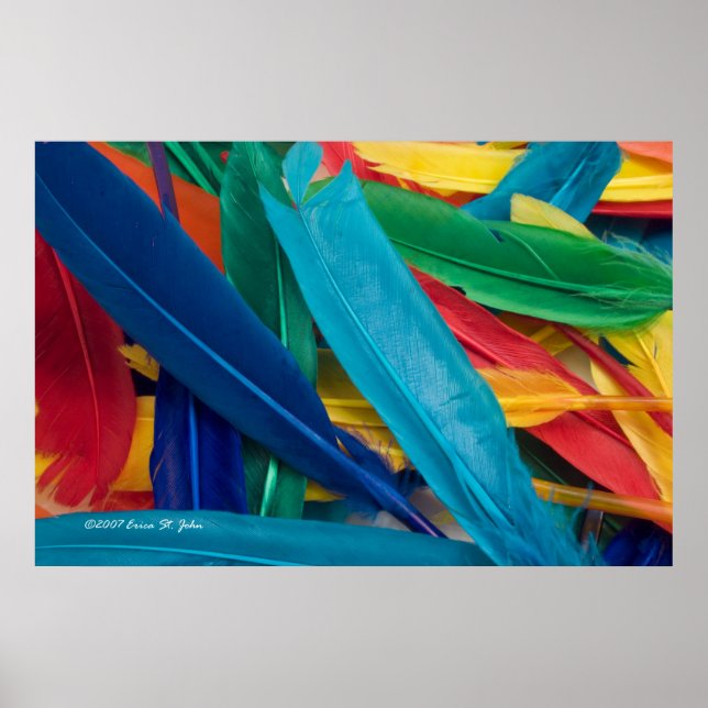 Featherly Poster (Vorne)