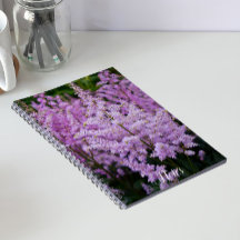 Featherry Pink Astilbe Plumes Floral
