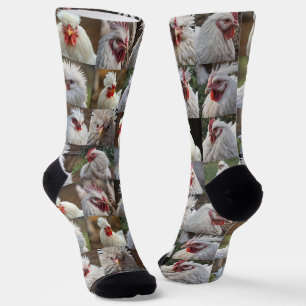 "Feathers in Focus: Ein Portrait eines weißen Hühn Socken