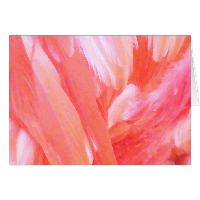 Feathers of Flamingo_ (Vorderseite (Horizontal))