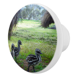 "Feathers of the Future: Three Baby Emu Chicks" Keramikknauf