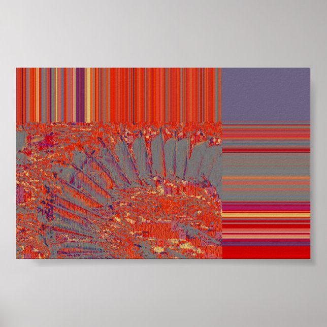 Feathers Poster (Vorne)