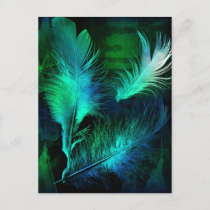 Feathers Postkarte