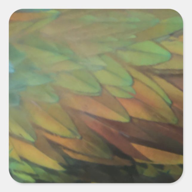 Feathers Quadratischer Aufkleber (Vorderseite)