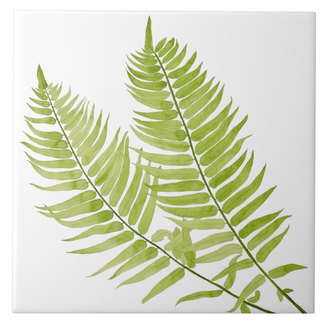 Feathery Fern auf einer Keramik Fliese (Vorderseite)