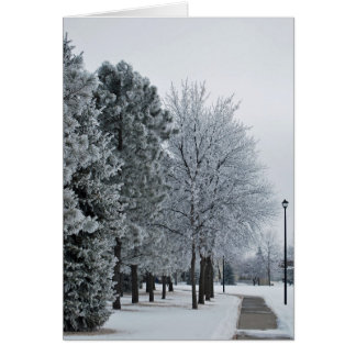 Februar 2012 Hoar Frost Grand Forks, North Dakota