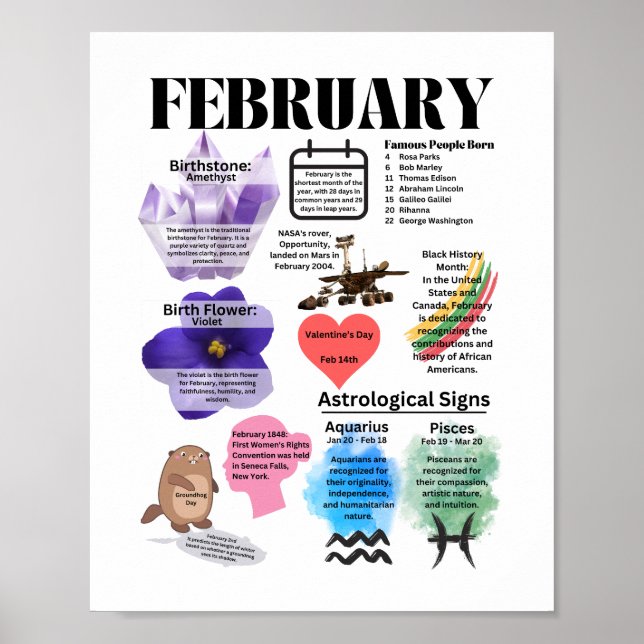 Februar Fun Facts Poster (Vorne)