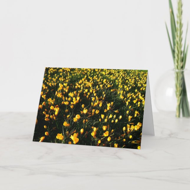 Februar-Krokusse Karte (Vorderseite)