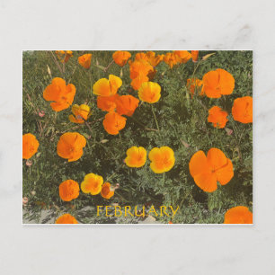 FEBRUAR POSTKARTE