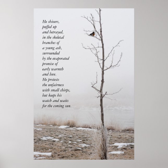 Februar Robin Nature Poster mit Gedicht (Vorne)