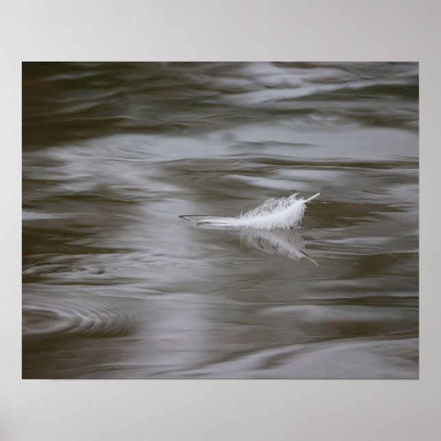 Feder auf dem Wasser Poster (Vorne)