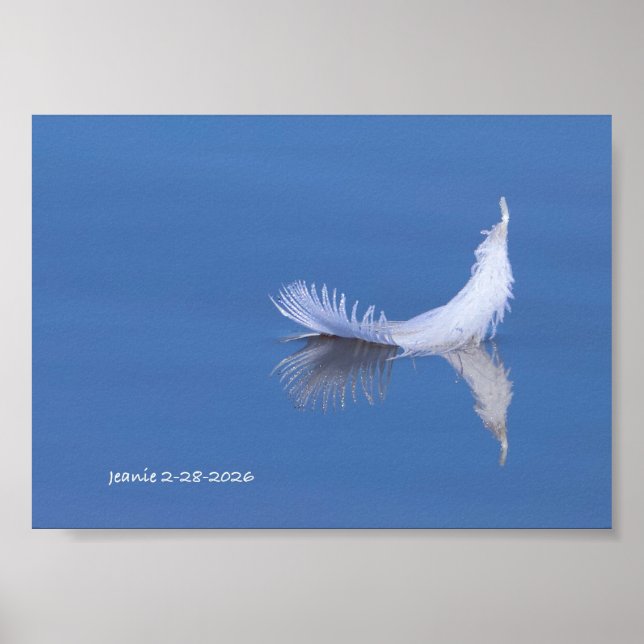 Feder auf dem Wasser Poster (Vorne)