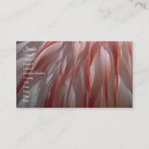 Feder-Visitenkarte Visitenkarte