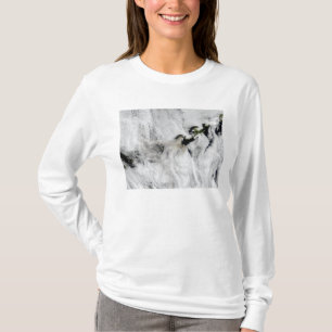 Feder von Okmok Vulkan, Aleuten 2 T-Shirt