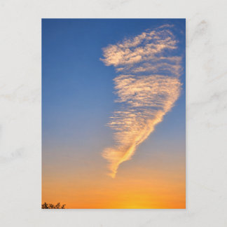 Federähnliche Wolken Goldenes Sonnenuntergangs-Him Postkarte