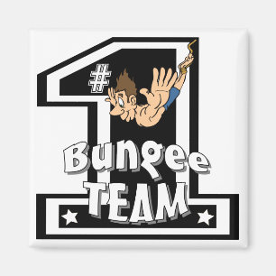Federelement-Team Magnet