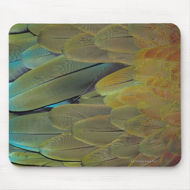 Federfläche Mousepad (Vorne)