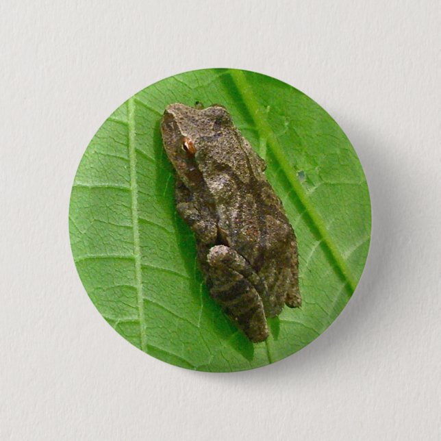 Federhalter (Pseudacris-Kreuzleger) Treefrog-Eleme Button (Vorderseite)