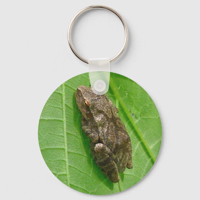 Federhalter (Pseudacris-Kreuzleger) Treefrog-Eleme Schlüsselanhänger (Vorderseite)