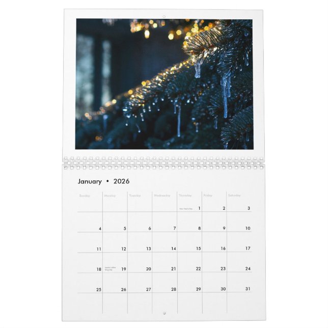 FedericoArts 2015 Medien-Kalender Kalender (Jan 2026)