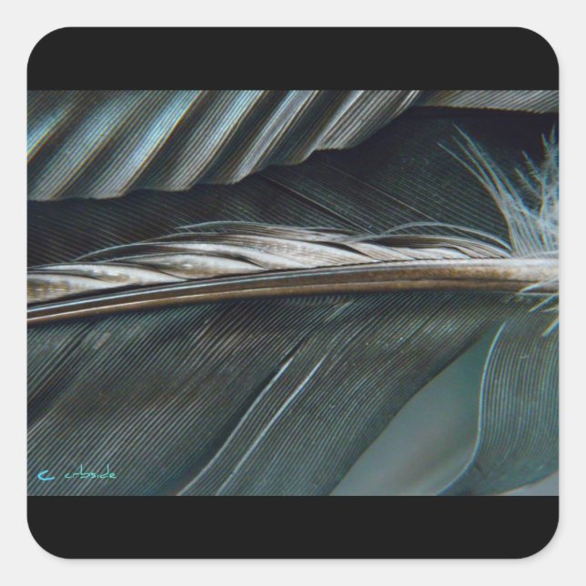 Federkleber Quadratischer Aufkleber (Vorderseite)