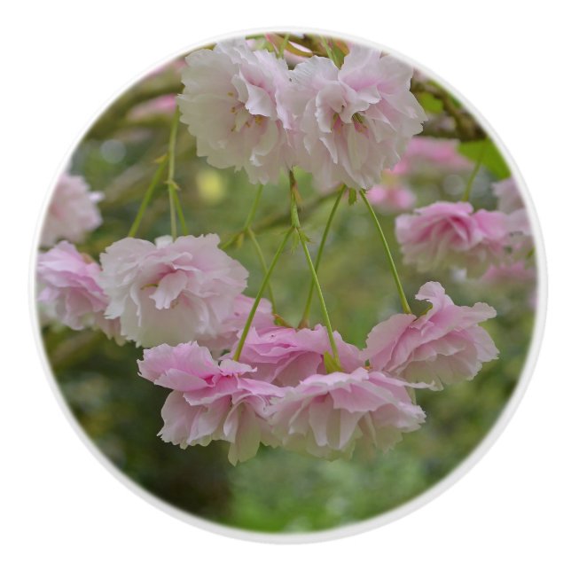 Federkraut-Blossom-Schubkapsel Keramikknauf (Vorderseite)