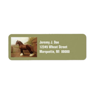 Federn Clydesdale