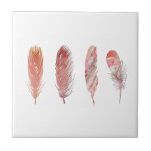 Federn in Rosa und Korallen auf weißem Hintergrund