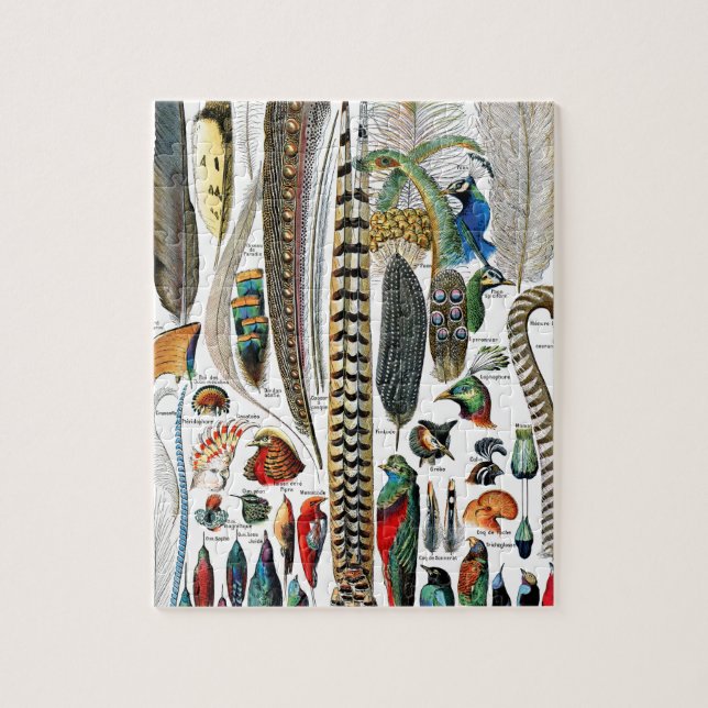 Federn von Adolphe Millot Puzzle (Vertikal)