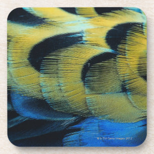 Federoberfläche 4 untersetzer