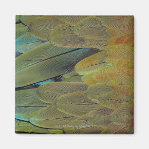 Federoberfläche Magnet