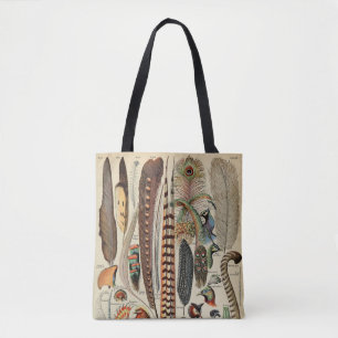 Federvogel-Wildlife-Antike-Federn