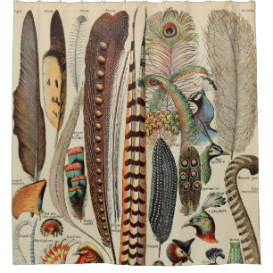 Federvogel-Wildlife-Antike-Federn Duschvorhang