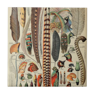 Federvogel-Wildlife-Antike-Federn Fliese