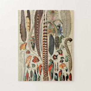 Federvogel-Wildlife-Antike-Federn Puzzle