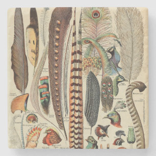 Federvogel-Wildlife-Antike-Federn Steinuntersetzer