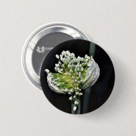 Federzwiebel Button