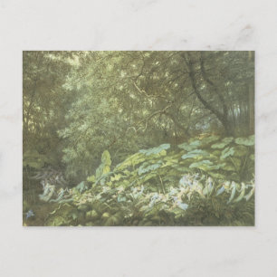 Fee Vintager Wald Postkarte