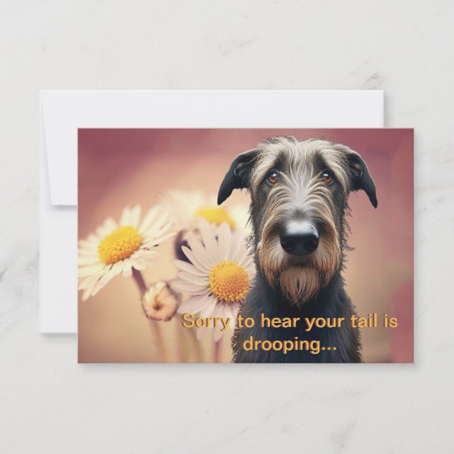 Feel Better bald Irish Wolfhound (Vorderseite)