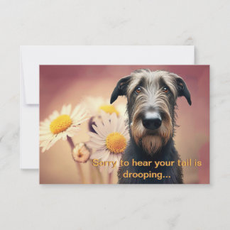 Feel Better bald Irish Wolfhound