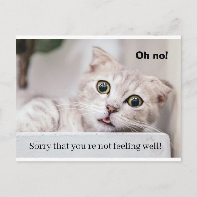 Feel Better Kitty Postkarte (Vorderseite)