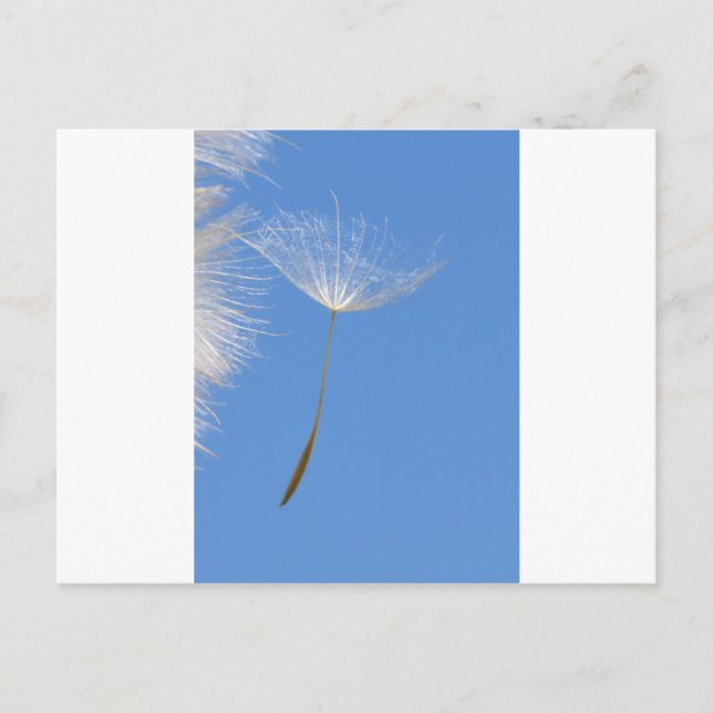 Feel free postkarte (Vorderseite)