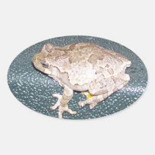 Feelin' Froggy! Ovaler Aufkleber