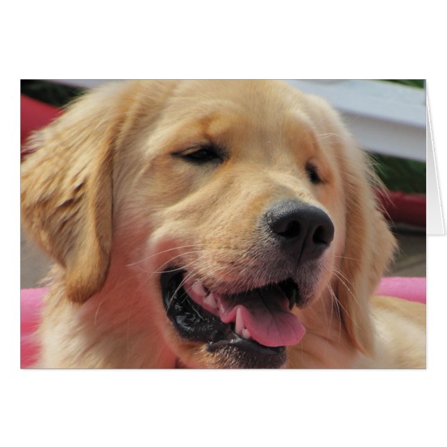 Feelin Geldstrafe (Vorderseite (Horizontal))