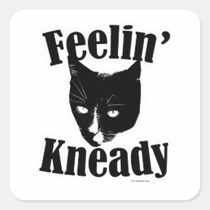 Feelin Kneady Funny Cat Niedliches Foto Slogan Quadratischer Aufkleber