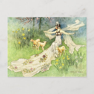 Feen-Coquette und Lämmer Postkarte
