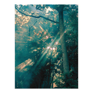 Feen im Wald Fotodruck