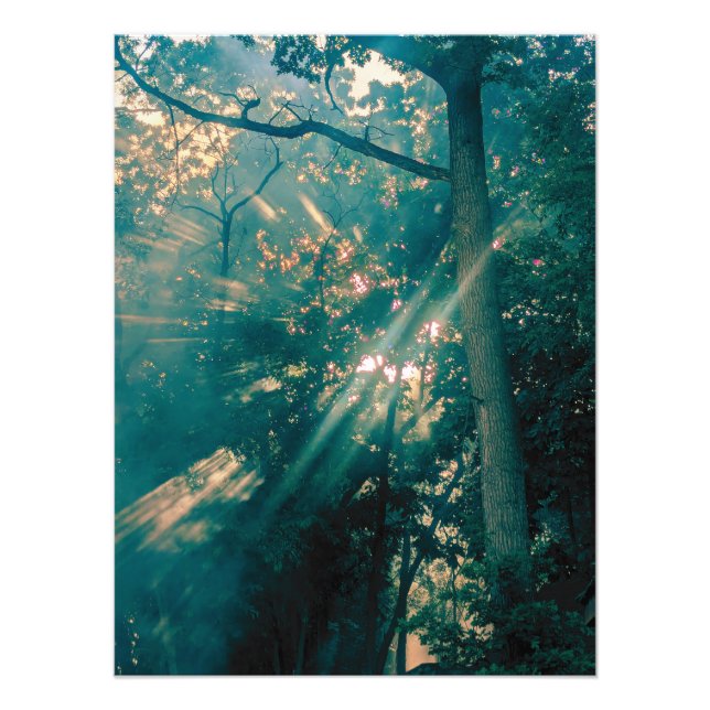 Feen im Wald Fotodruck (Vorne)